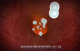 한국베름 주식회사 - 유산균 특허