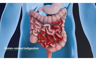 엔피케이(주)-효소식품