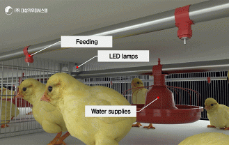 (주)대상키우미시스템 - 부화기 및 양계 양육시스템