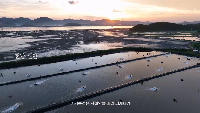(사)한국새우양식총연합회 - 새우양식
