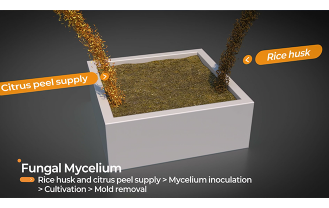 한양대학교 - 친환경 포장재
