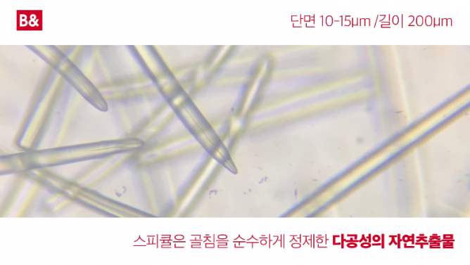 주식회사 비엔 - 화장품 제조업체