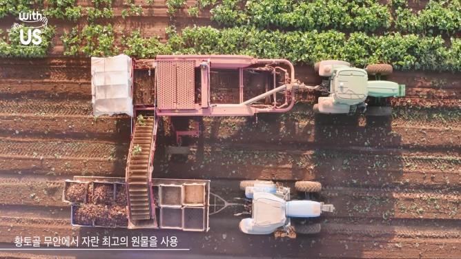 (주)위더스에프앤비 - 양배추 젤리형
