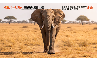 청라코끼리마취통증의학과의원